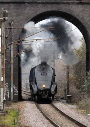 Purchase photo of 60007 SIR NIGEL GRESLEY at London - New Southgate
